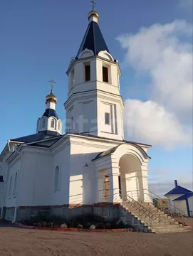 Дом в Воронежская область, с. Новая Усмань ул. Хлеборобов, 86 (100 м)