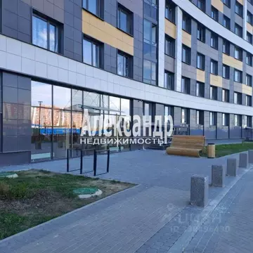 Студия Ленинградская область, Мурино Всеволожский район, просп. ...