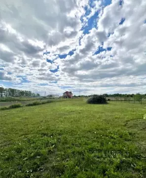 Участок в Владимирская область, Муром д. Березовка, ул. Плодовая (20.0 ...