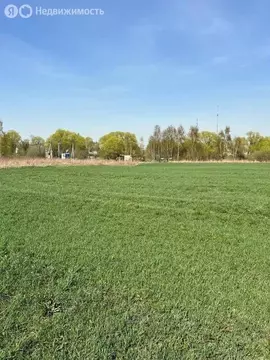 Участок в Московская область, Раменский муниципальный округ, ...