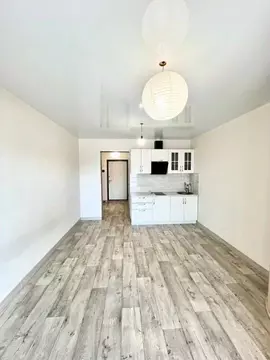 Студия Иркутская область, Иркутск ул. Лызина, 9 (24.6 м)