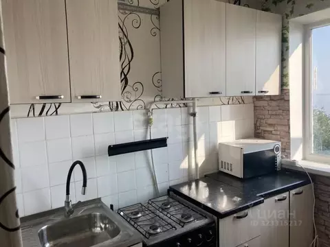 1-к кв. Челябинская область, Озерск Набережная ул., 47 (30.3 м)