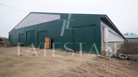 Производственное помещение в Татарстан, Лаишево  (3000 м)