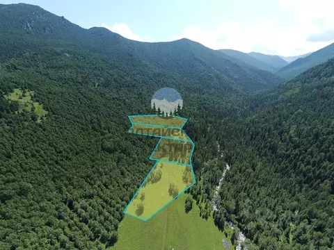 Участок в Алтай, Усть-Коксинский район, с. Тихонькая Центральная ул., ...