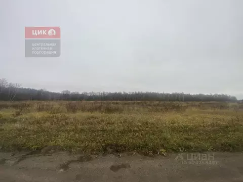 Участок в Рязанская область, Рыбновский муниципальный округ, д. ...