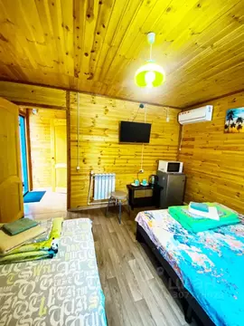 Дом в Воронежская область, Павловск Придорожная ул., 46 (1 м)