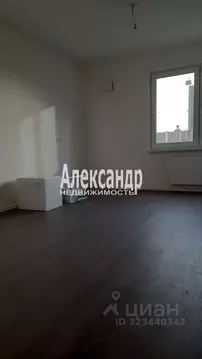 Студия Санкт-Петербург ул. Морской Пехоты, 26к1 (21.8 м)