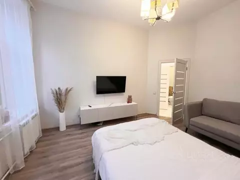 1-к кв. Санкт-Петербург просп. Большой Петроградской стороны, 47 (42.0 ...