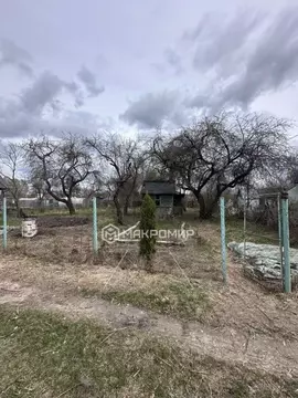 Участок в Брянская область, Брянск Мичуринец садовое общество, 298 ...