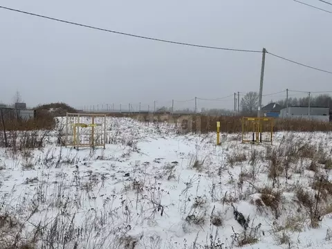 Участок в Тюменская область, Тюменский муниципальный округ, с. Борки  ...