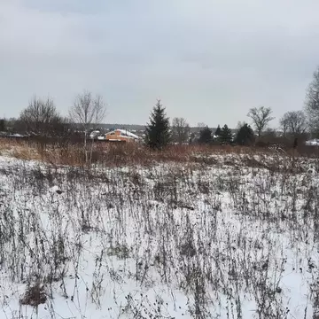 Участок в Московская область, Ступино городской округ, д. Съяново  ...