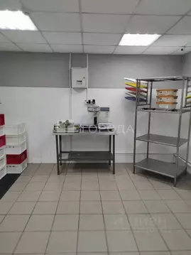 Помещение свободного назначения в Кемеровская область, Новокузнецк ...