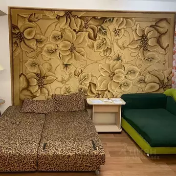 Студия Краснодарский край, Краснодар Ставропольская ул., 232 (21.0 м)
