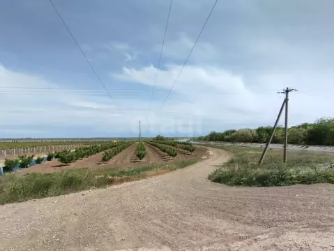Участок в Крым, Кировский район, Синицынское с/пос, с. Васильковое ул. ...