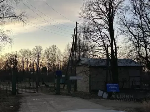 Участок в Московская область, Кашира городской округ, д. Большое ...