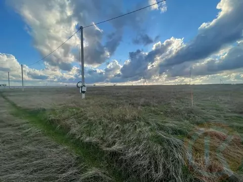 Участок в Крым, Сакский район, Уютненское с/пос, Братские дачи кп  ...