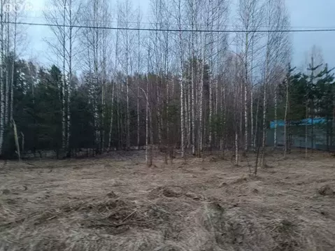 Участок в Сабское сельское поселение, деревня Малый Сабск (15 м)