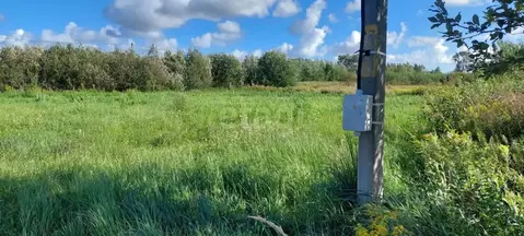 Участок в Калининградская область, Гурьевский муниципальный округ, ...