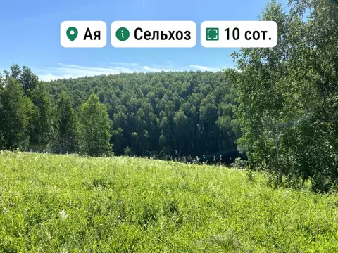 Участок в Алтай, Чемальский район, с. Чемал  (10.0 сот.)