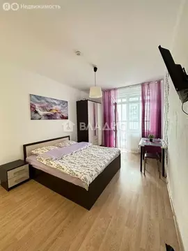 Квартира-студия: Санкт-Петербург, улица Адмирала Черокова, 22 (24 м)