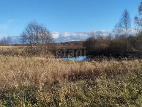 Участок в Смоленская область, Кардымовский муниципальный округ, ...