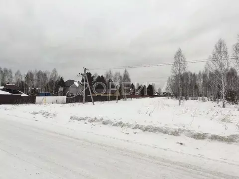 Участок в Тюменская область, Нижнетавдинский район, Царицыно СНТ ул. ...