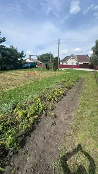 Участок в Рязанская область, Пронский район, Малинищинское с/пос, с. ...