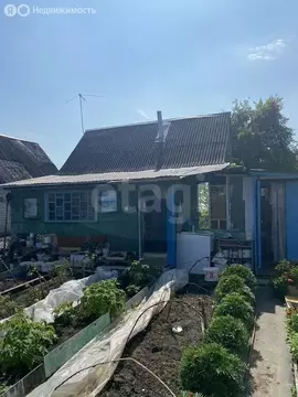 Дом в Брянск, посёлок Чайковичи (65 м)