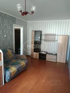 1-к кв. Калининградская область, Калининград Красная ул., 141 (27.8 м)