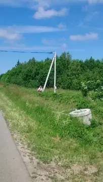 Участок в Калининградская область, Зеленоградск пос. Сосновка,  (100.0 ...