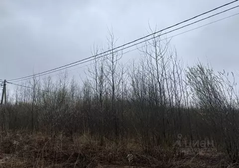 Участок в Московская область, Электрогорск Павлово-Посадский городской ...
