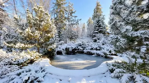 Участок в Московская область, Звенигород Одинцовский городской округ, ...