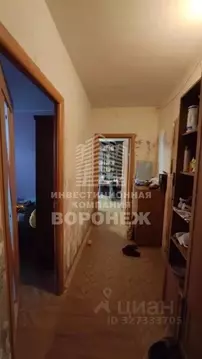 2-к кв. Воронежская область, Воронеж Транспортная ул., 83 (53.6 м)