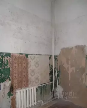 Помещение свободного назначения в Мордовия, Рузаевка ул. Кутузова, 93 ...