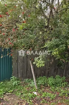 Дом в село Мошок, улица Мишулина, 1 (30.6 м)