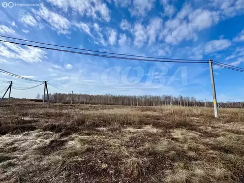 Участок в Тюменский муниципальный округ, деревня Большие Акияры (8 м)