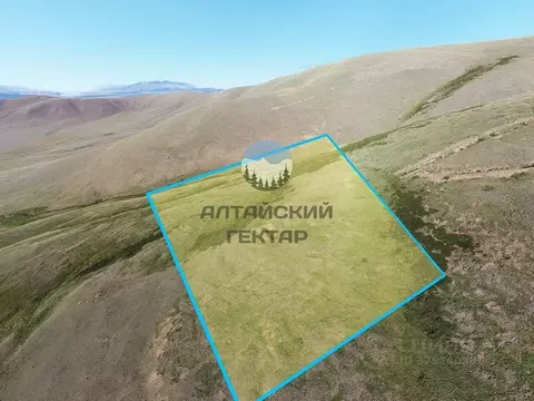 Участок в Алтай, Кош-Агачский район, с. Тобелер  (3240.0 сот.)