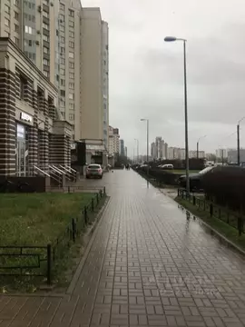 Помещение свободного назначения в Санкт-Петербург Ленинский просп., ...