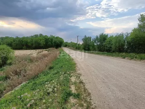 Участок в Амурская область, Благовещенский район, с. Кантон-Коммуна ...