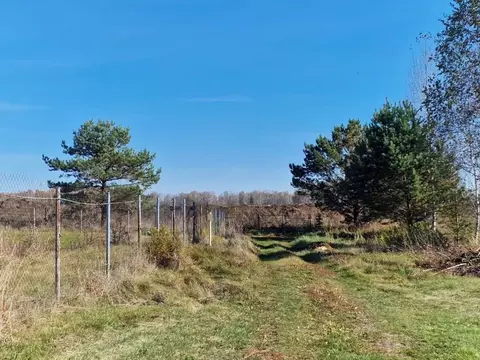 Участок в Алтайский край, Первомайский район, Лесные поляны СНТ ул. ...