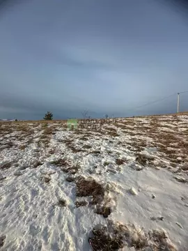 Участок в Красноярский край, Красноярск Пригорная ул. (8.0 сот.)