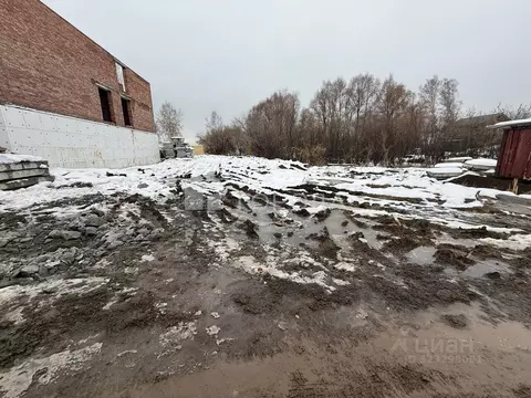 Участок в Новосибирская область, Новосибирский район, Каменский ...