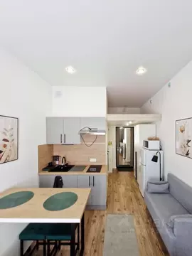 Студия Московская область, Раменский муниципальный округ, Ильинский ...