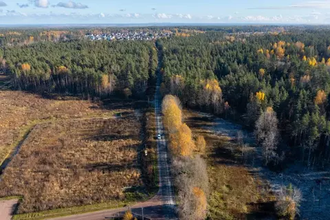 Участок в Ленинградская область, Приозерский район, Сосновское с/пос, ...