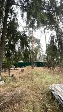 Продается участок в д. Полушкино