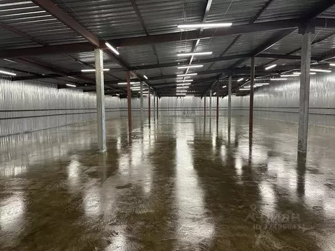 Склад в Московская область, Мытищи городской округ, д. Грибки 64Б (739 ...