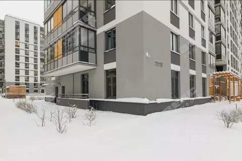 Помещение свободного назначения в Санкт-Петербург Студенческая ул., ...