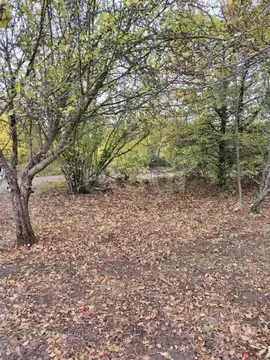 Участок в Белгородская область, Белгород Соборная пл. (6.0 сот.)