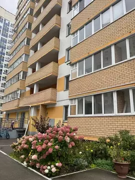 Студия Пермский край, Пермь ул. Юнг Прикамья, 10 (34.5 м)