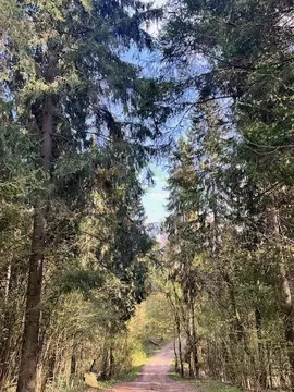 Участок в Московская область, Рузский муниципальный округ, Люкс ...